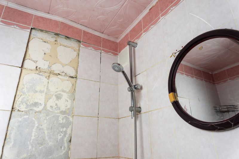 Top Shower Remodeling Companies in Ambler, PA